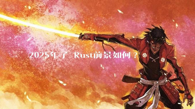 2025年了 Rust前景如何?